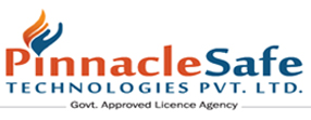 Pinnacle Safe Technologies Pvt. Ltd. Logo